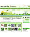 畢華麗生態(tài)蔬菜